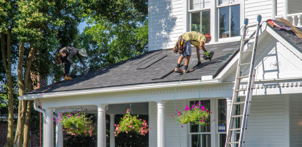 Roof Gutter Cleaning in Seminole, FL